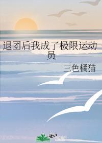 退团后我成了一线(娱乐圈)
