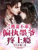 墨少强宠小逃妻免费版