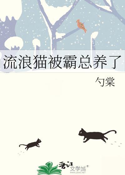 流浪猫被霸总养了晋江