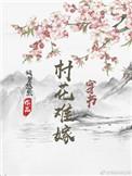 村花难嫁穿书推荐