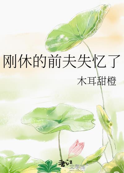 刚休的前夫失忆了木耳甜橙